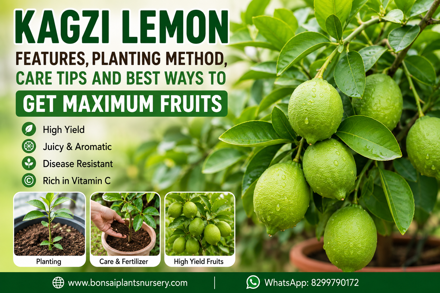 kagzi_nimbu