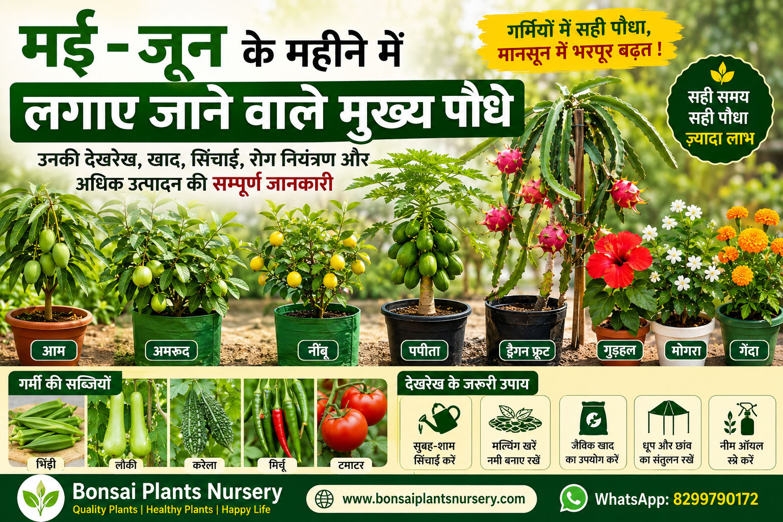 summer_plants