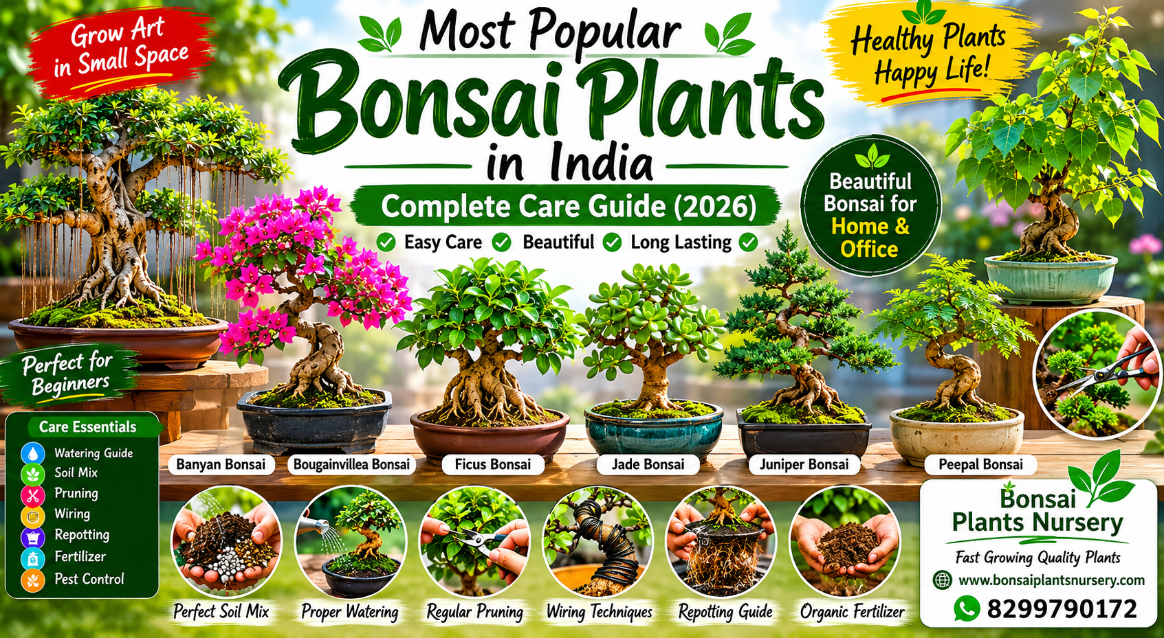 Most_Popular_Bonsai_Plants