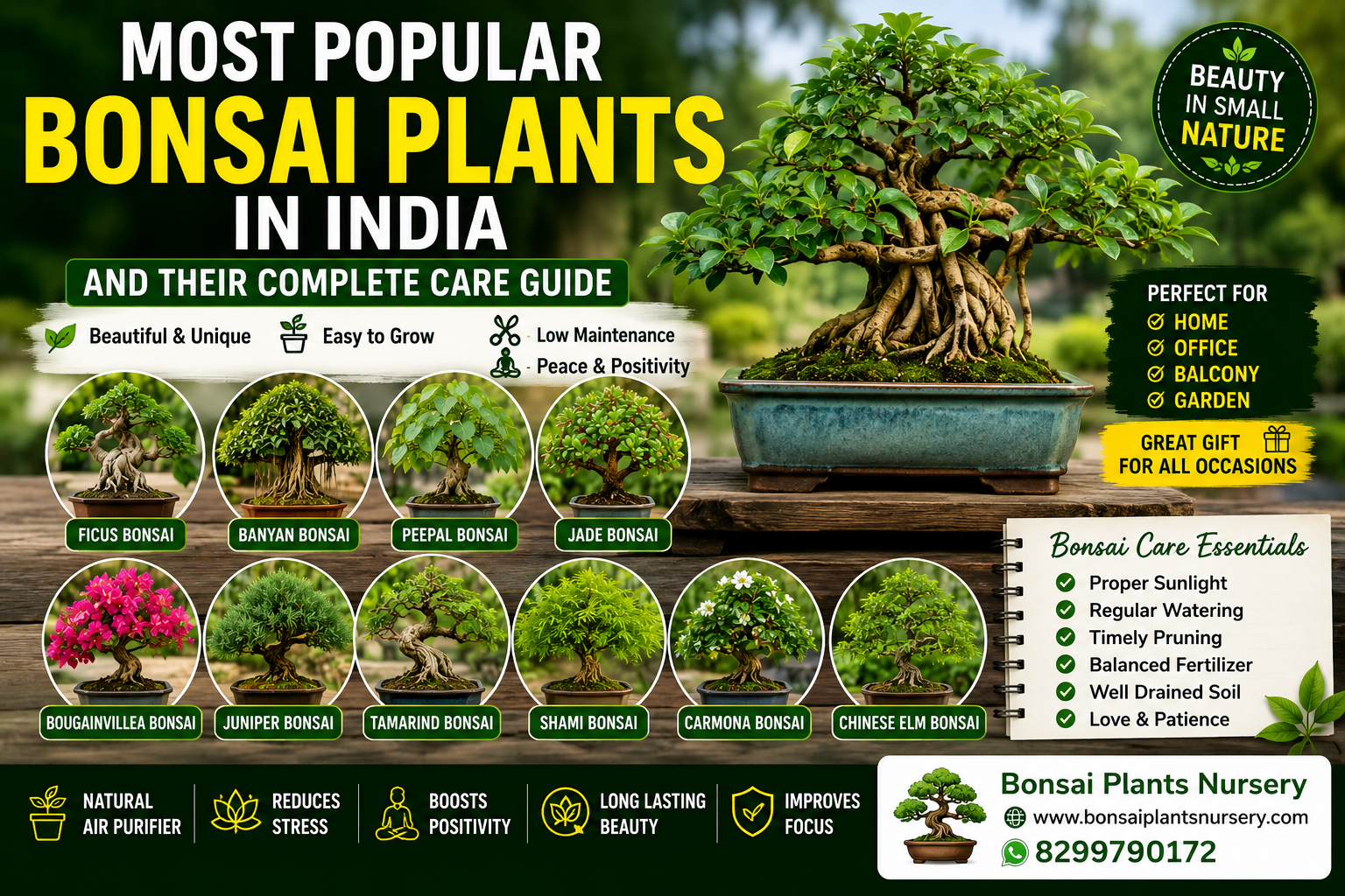 Most_Popular_Bonsai_Plants