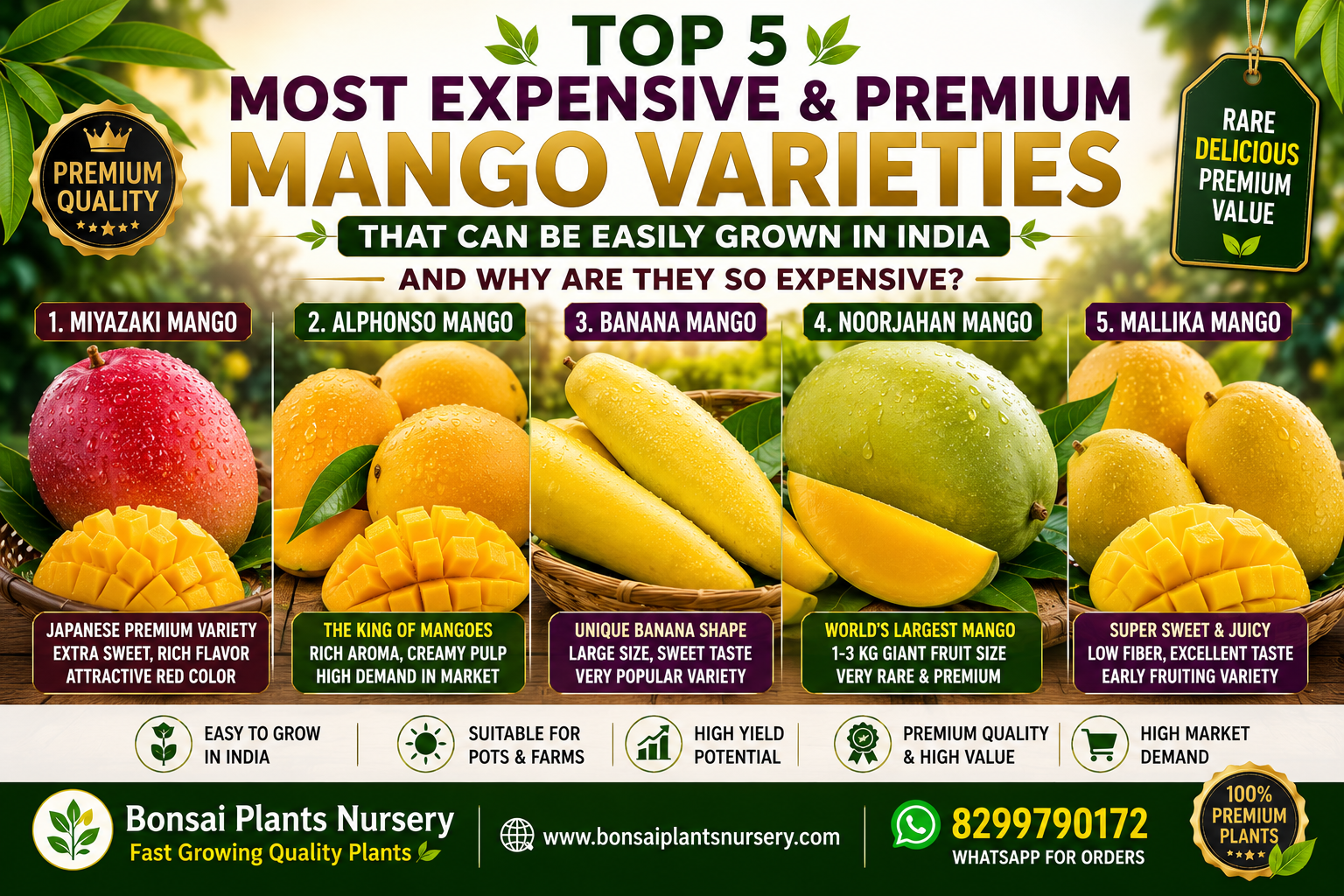 top_5_mango